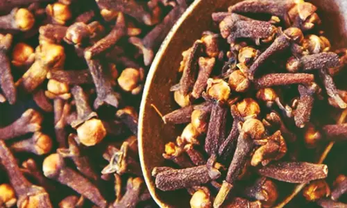 ज्योतिष टिप्स: घर से निकलते समय मुंह में रखें लौंग, बिना बाधा के पूरा होगा काम