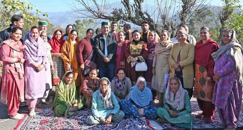 Mandi में 18 हेक्टेयर में 12,500 जापानी पौधे लगाए जाएंगे Mandi में 18 हेक्टेयर में 12,500 जापानी पौधे लगाए जाएंगे