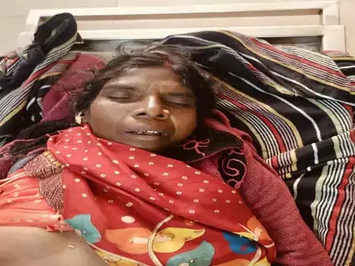 धान की रखवाली कर रही महिला को हाथी ने मार डाला धान की रखवाली कर रही महिला को हाथी ने मार डाला