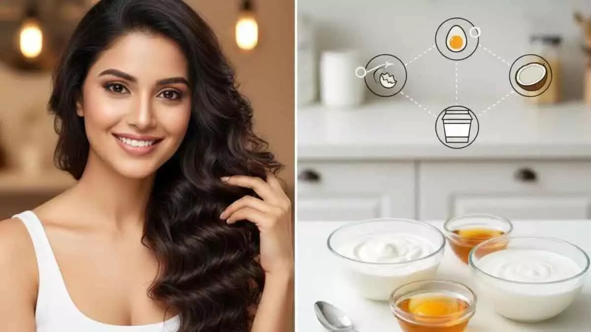 केमिकल प्रोडक्ट छोड़ें, घर पर बनाएं नेचुरल Hair प्रोटीन मास्क, पहले इस्तेमाल में ही दिखेगा फर्क केमिकल प्रोडक्ट छोड़ें, घर पर बनाएं नेचुरल Hair प्रोटीन मास्क, पहले इस्तेमाल में ही दिखेगा फर्क