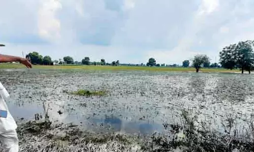 Rohtak के किसानों ने जलभराव को लेकर विरोध जताया, धरना दिया Rohtak के किसानों ने जलभराव को लेकर विरोध जताया, धरना दिया