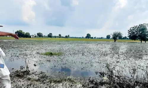 Rohtak के किसानों ने जलभराव को लेकर विरोध जताया, धरना दिया