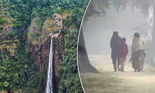 ठंडी हवाओं से सिमलीपाल टाइगर रिजर्व में ठंड बढ़ी, UBK का तापमान 3°C तक गिरा