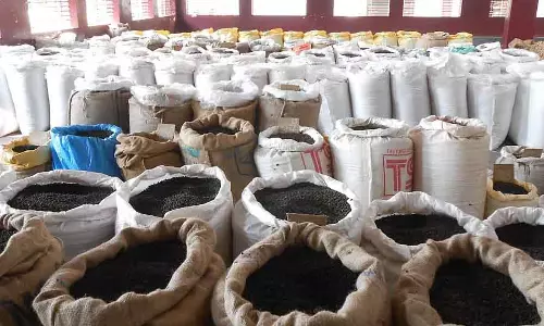 काली मिर्च की कीमतों में गिरावट: स्टॉक जमा करने वाले एसोसिएशन को नुकसान का डर
