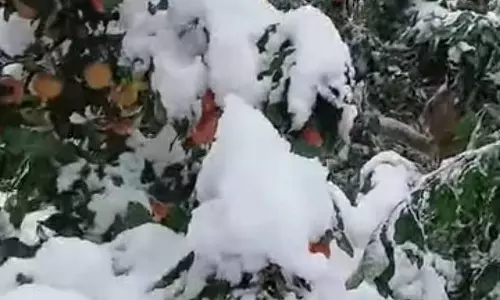 वीकेंड पर Himachal के ऊंचे इलाकों में हल्की बर्फबारी होने की संभावना है वीकेंड पर Himachal के ऊंचे इलाकों में हल्की बर्फबारी होने की संभावना है