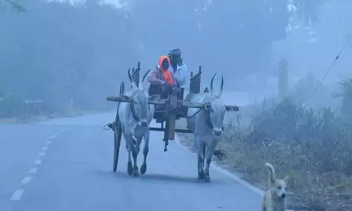 तापमान गिरा: कड़ाके की ठंड