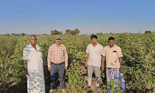 फसल सर्वेक्षण: अधिकारी ने आपत्ति दर्ज कराने वाले किसानों के खेतों का दौरा किया