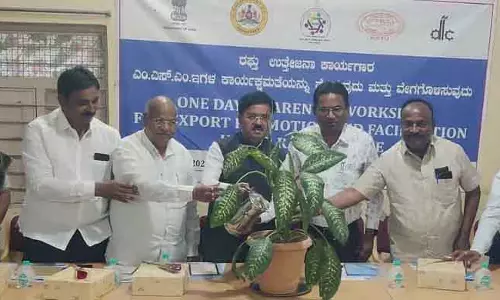 सरकारी योजनाओं का फायदा उठाएं: धनिषा मीनू की सलाह