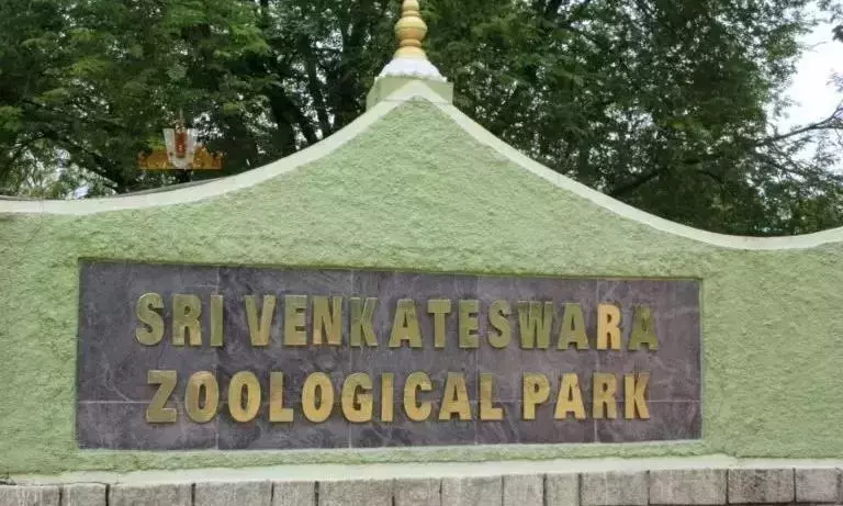TTD बोर्ड सदस्य ने एसवी चिड़ियाघर को चारा दान किया TTD बोर्ड सदस्य ने एसवी चिड़ियाघर को चारा दान किया