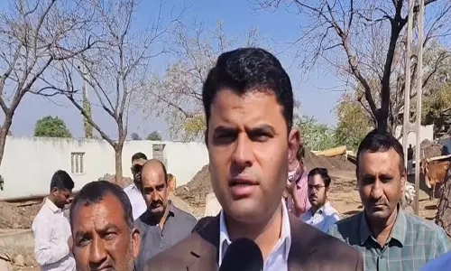 राजकोट गांव में गायों की मौत राजकोट गांव में गायों की मौत