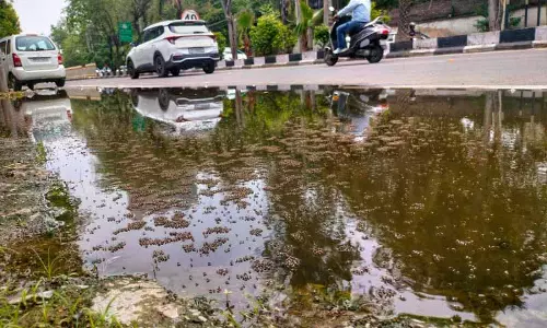 इस साल Mohali में डेंगू के मामलों में 85% की गिरावट आई है इस साल Mohali में डेंगू के मामलों में 85% की गिरावट आई है