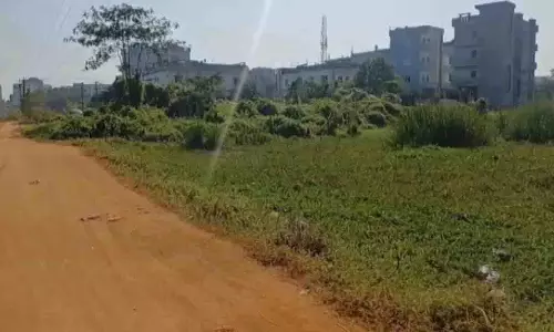 MSP घोटाला: सड़कों और श्मशान घाटों को धान के खेत बताकर फर्जीवाड़ा MSP घोटाला: सड़कों और श्मशान घाटों को धान के खेत बताकर फर्जीवाड़ा