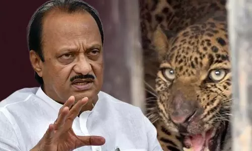 Ajit Pawar ने वन मंत्री के तेंदुए को लेकर उठाए गए कदमों का मज़ाक उड़ाया, बकरी छोड़ने को हास्यास्पद बताया Ajit Pawar ने वन मंत्री के तेंदुए को लेकर उठाए गए कदमों का मज़ाक उड़ाया, बकरी छोड़ने को हास्यास्पद बताया