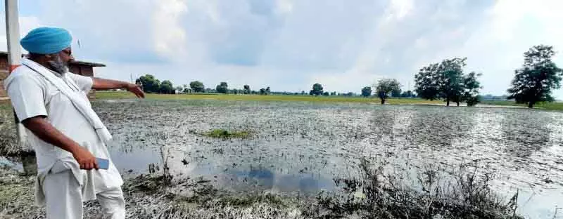 Rohtak के किसानों ने जलभराव को लेकर विरोध जताया, धरना दिया Rohtak के किसानों ने जलभराव को लेकर विरोध जताया, धरना दिया
