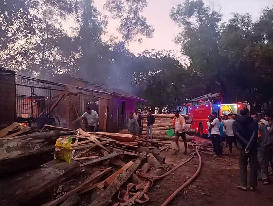 लकड़ी मिल में आग: भारी नुकसान लकड़ी मिल में आग: भारी नुकसान