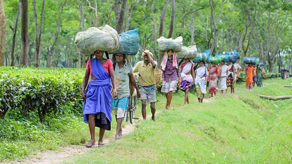 झारखंड के मुख्यमंत्री के साथ बैठक में चाय बागान मजदूरों के संगठन ने Assam में उपेक्षा का मुद्दा उठाया झारखंड के मुख्यमंत्री के साथ बैठक में चाय बागान मजदूरों के संगठन ने Assam में उपेक्षा का मुद्दा उठाया