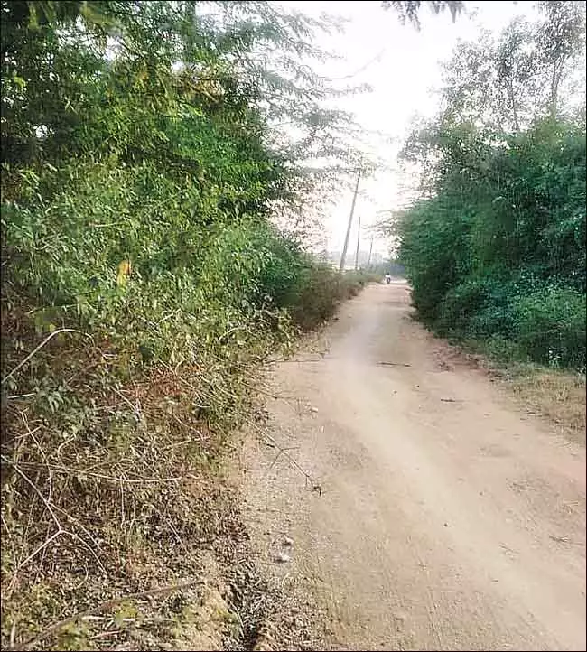 Pawan Kalyan: सुबह अपील की शाम को सड़क मंज़ूर हो गई Pawan Kalyan: सुबह अपील की शाम को सड़क मंज़ूर हो गई