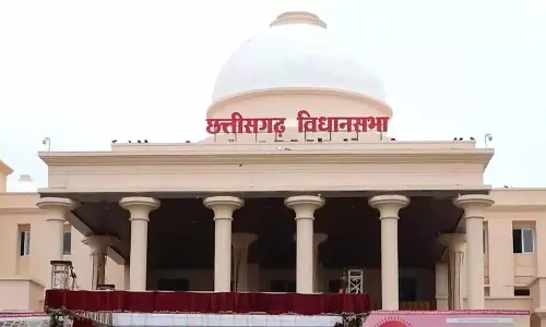 बिल्ली की आवाज से नए छत्तीसगढ़ विधानसभा भवन में भौचक्के रह गए मंत्री-विधायक