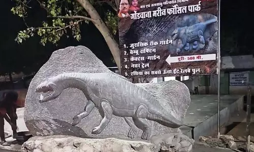 मुरेरगढ़-रहस्य, रोमांच और आस्था का प्राकृतिक हिल स्टेशन मुरेरगढ़-रहस्य, रोमांच और आस्था का प्राकृतिक हिल स्टेशन