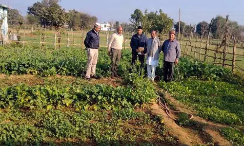 एग्री टीम ने Noorpur में हिम कृषि क्लस्टर में फसल की ग्रोथ का रिव्यू किया