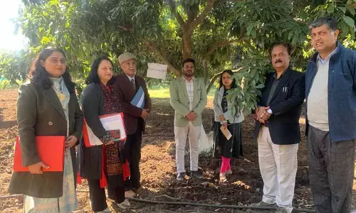 Himachal: हॉर्टिकल्चर बोर्ड ने मान्यता के लिए नौणी यूनिवर्सिटी स्टेशन का मूल्यांकन किया