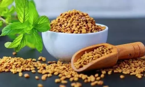 Methi के पानी के फायदे बताए गए