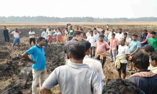 Odisha में धान की पराली जलाते समय एक किसान की जलकर मौत हो गई Odisha में धान की पराली जलाते समय एक किसान की जलकर मौत हो गई