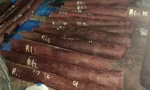 लाल चंदन तस्करी पर DRI की बड़ी कार्रवाई, 4 आरोपी पकड़े गए लाल चंदन तस्करी पर DRI की बड़ी कार्रवाई, 4 आरोपी पकड़े गए