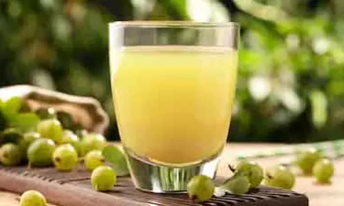सर्दियों में बाल झड़ने से बचाएं, आंवला-करी पत्ते का Natural शॉट अपनाएं सर्दियों में बाल झड़ने से बचाएं, आंवला-करी पत्ते का Natural शॉट अपनाएं