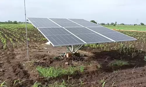 पीएम कुसुम योजना से खुशहाल हुए किसान, समय पर मिल रहा फसलों को पानी पीएम कुसुम योजना से खुशहाल हुए किसान, समय पर मिल रहा फसलों को पानी