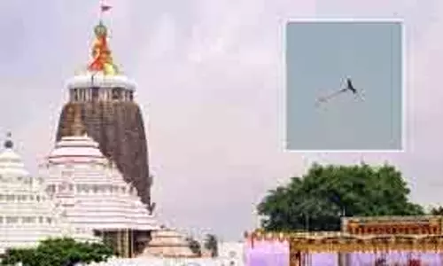 Puri Jagannath Temple में चीलों का रहस्य, भविष्यवाणी या शुभ संकेत Puri Jagannath Temple में चीलों का रहस्य, भविष्यवाणी या शुभ संकेत