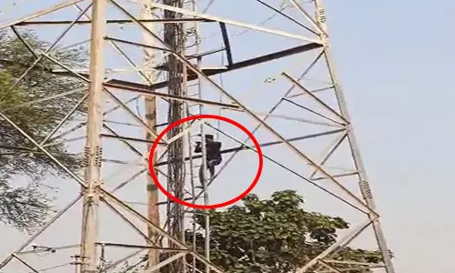 CG NEWS: मोबाइल टावर पर चढ़ा युवक, घंटों तक मचा हड़कंप, देखें VIDEO... CG NEWS: मोबाइल टावर पर चढ़ा युवक, घंटों तक मचा हड़कंप, देखें VIDEO...