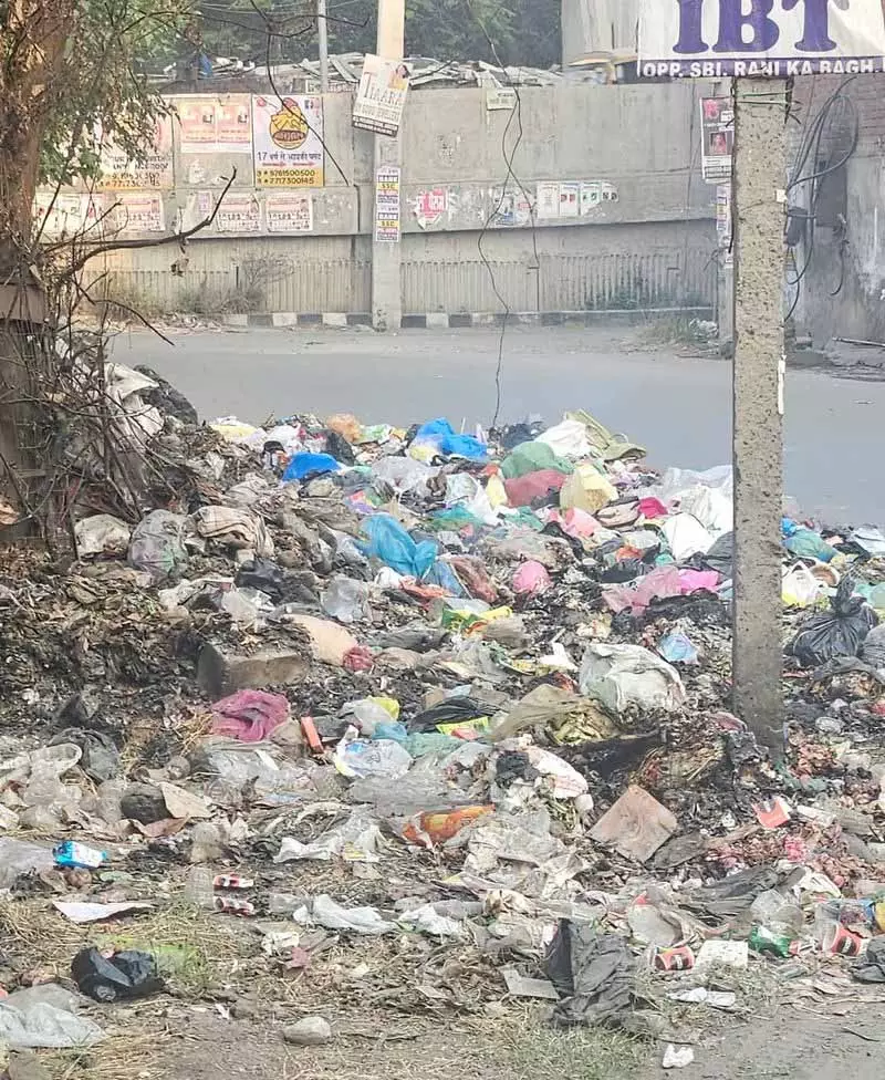 NGO ने PPCB से एजुकेशनल इंस्टिट्यूट के पास कचरे के ढेर हटाने की अपील की NGO ने PPCB से एजुकेशनल इंस्टिट्यूट के पास कचरे के ढेर हटाने की अपील की