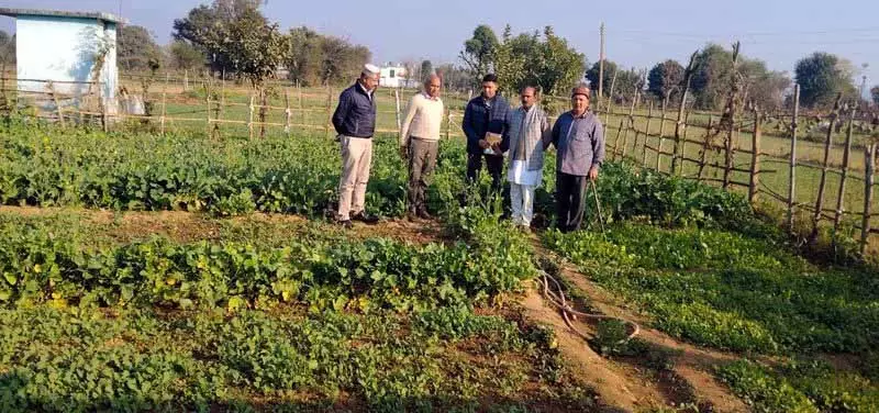 एग्री टीम ने Noorpur में हिम कृषि क्लस्टर में फसल की ग्रोथ का रिव्यू किया एग्री टीम ने Noorpur में हिम कृषि क्लस्टर में फसल की ग्रोथ का रिव्यू किया