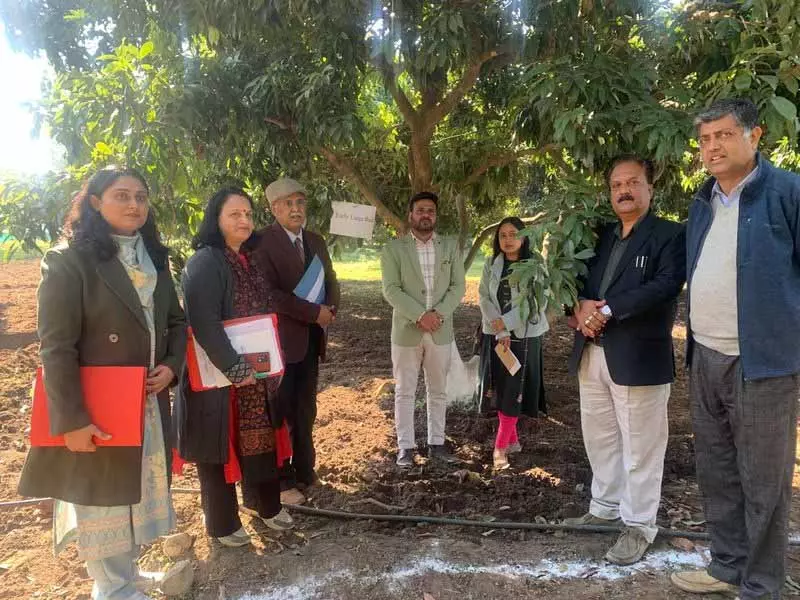 Himachal: हॉर्टिकल्चर बोर्ड ने मान्यता के लिए नौणी यूनिवर्सिटी स्टेशन का मूल्यांकन किया Himachal: हॉर्टिकल्चर बोर्ड ने मान्यता के लिए नौणी यूनिवर्सिटी स्टेशन का मूल्यांकन किया