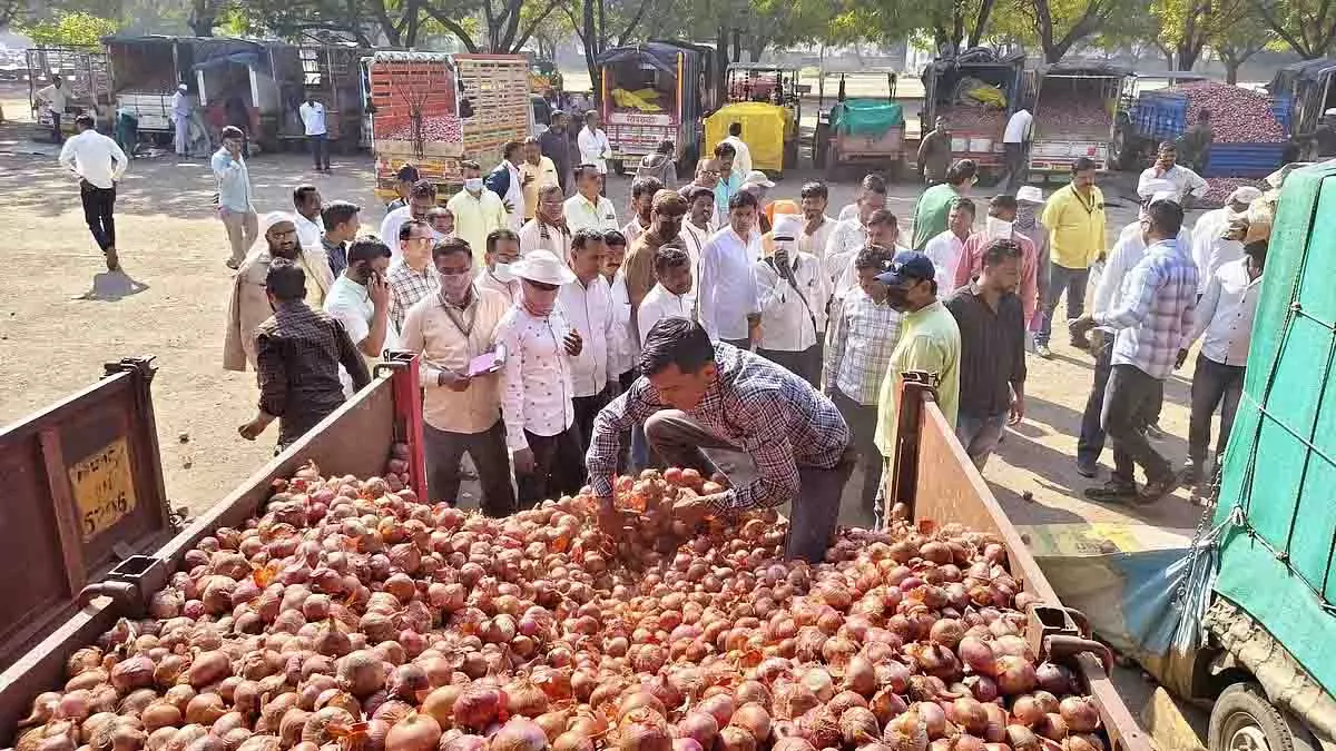 Nashik के किसानों को राहत, बांग्लादेश ने प्याज आयात परमिट चार गुना बढ़ाया Nashik के किसानों को राहत, बांग्लादेश ने प्याज आयात परमिट चार गुना बढ़ाया