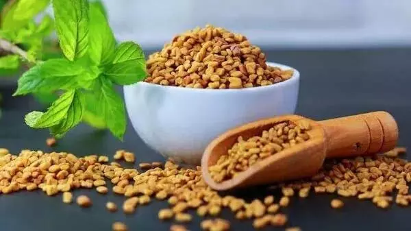 Methi के पानी के फायदे बताए गए Methi के पानी के फायदे बताए गए