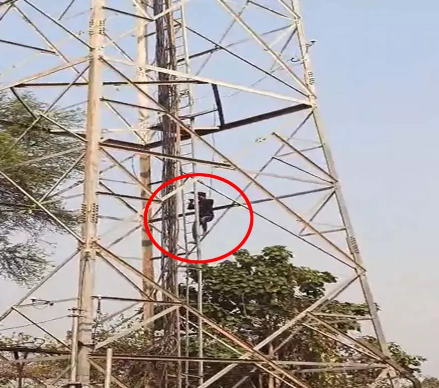 CG NEWS: मोबाइल टावर पर चढ़ा युवक, घंटों तक मचा हड़कंप, देखें VIDEO... CG NEWS: मोबाइल टावर पर चढ़ा युवक, घंटों तक मचा हड़कंप, देखें VIDEO...