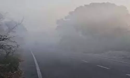 MP Weather :  रिकॉर्ड शीतलहर, ग्वालियर-चंबल में कोहरा छाने के आसार