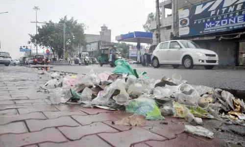 Gurugram के गांव में स्वच्छता, प्लास्टिक मुक्त अभियान चलाया गया