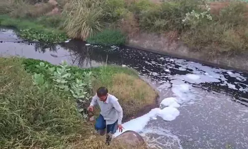 बरही में एफ्लुएंट सैंपल टेस्ट में फेल हुए, पॉल्यूशन बोर्ड ने HSIIDC को कारण बताओ नोटिस जारी किया