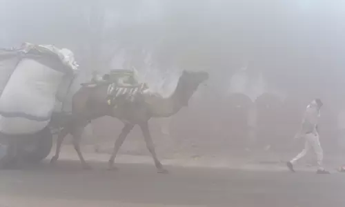 Rajasthan के कई हिस्सों में घना कोहरा, विजिबिलिटी में भारी गिरावट Rajasthan के कई हिस्सों में घना कोहरा, विजिबिलिटी में भारी गिरावट