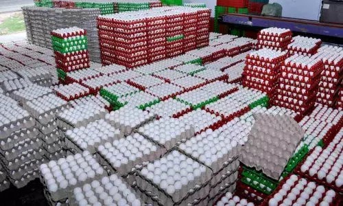 Namakkal में अंडे की कीमतें 6.25 रुपये के रिकॉर्ड स्तर पर पहुंच गईं