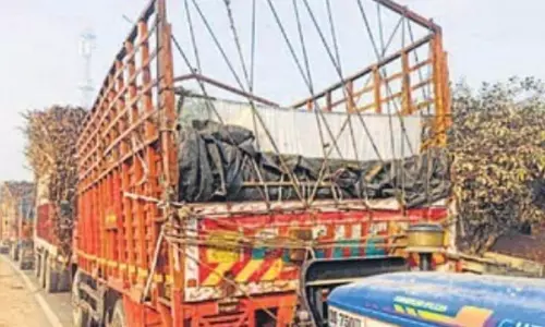 Bareilly: धनेटा में ट्रैक्टर की वजह से ट्रैफिक बाधित
