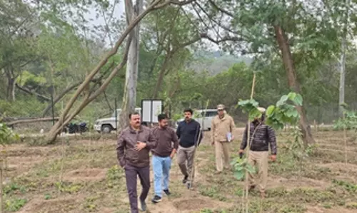 Chandigarh का प्रसिद्ध सुखना वन्यजीव अभयारण्य