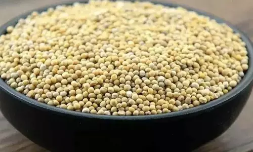 White Mustard: स्वास्थ्य लाभ जो आपको पता होने चाहिए