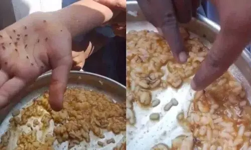 Karnataka के कोप्पल में मिड डे मील में कीड़े लगे चावल मिले Karnataka के कोप्पल में मिड डे मील में कीड़े लगे चावल मिले