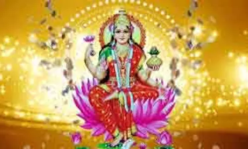 नए साल में घर लाएं ये शुभ चीजें, मां Lakshmi बरसाएंगी कृपा