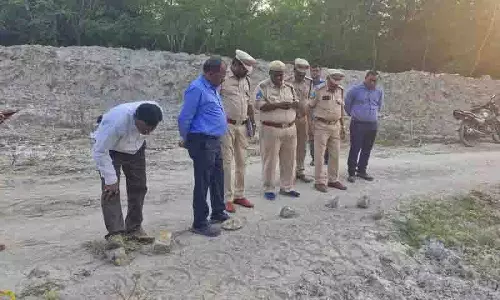मंचेरियल के बाद, पेद्दापल्ली कोयला बेल्ट में बाघ की गतिविधि का पता चला मंचेरियल के बाद, पेद्दापल्ली कोयला बेल्ट में बाघ की गतिविधि का पता चला