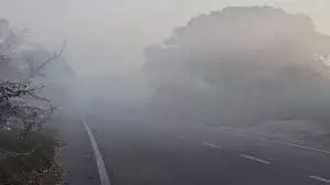 MP Weather : रिकॉर्ड शीतलहर, ग्वालियर-चंबल में कोहरा छाने के आसार MP Weather : रिकॉर्ड शीतलहर, ग्वालियर-चंबल में कोहरा छाने के आसार